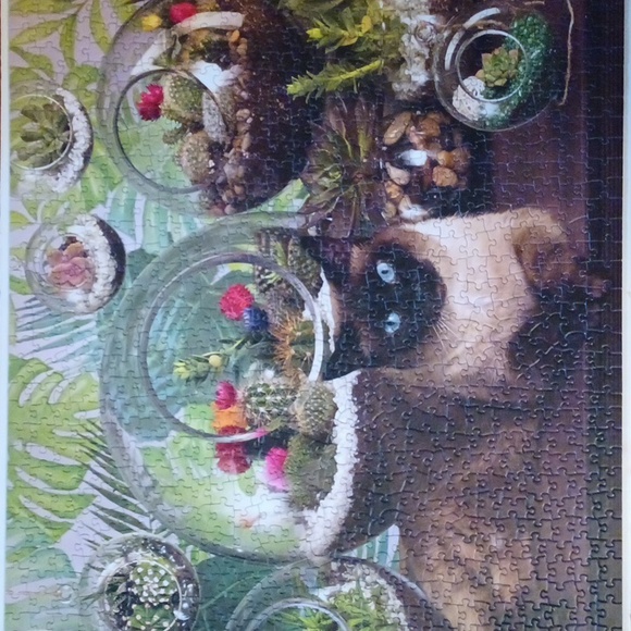 🧩Terrarium Cat 1000 piece puzzle - Picture 6 of 6